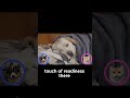 Why Your Dog S Belly Up Sleep Position Is The Ultimate Trust Signal Dogtraining Petcenter Pets Why Your Dog S Belly Up Sleep Position Is The Ultimate Trust Signal Dogtraining Petcenter Pets