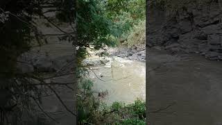 Spot Ikan Mahserr Babonsungai Mrawu Banjarnegara