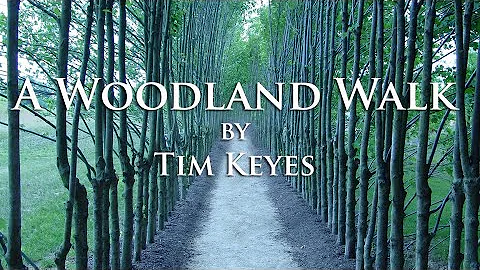 Tim Keyes - A Woodland Walk