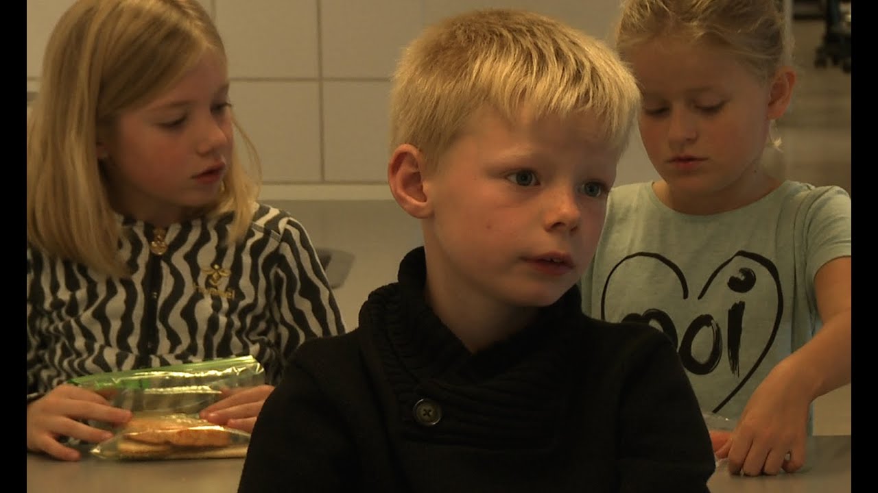 INKLUSION I KLASSEN - udvikling af lærerkompeetencer. Vejledning 1