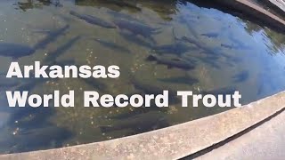 Exploring Arkansas Greers Ferry National Fish Hatchery JFK Dam Heber Springs Arkansas