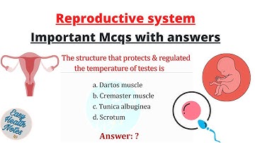 Know about Reproductive system ।। Important MCQs ( multiple choice questions) with answer Class 12