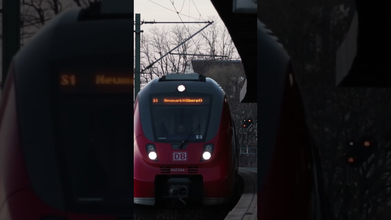 Talent 2 kurvt durch Gleishammer 😍😎