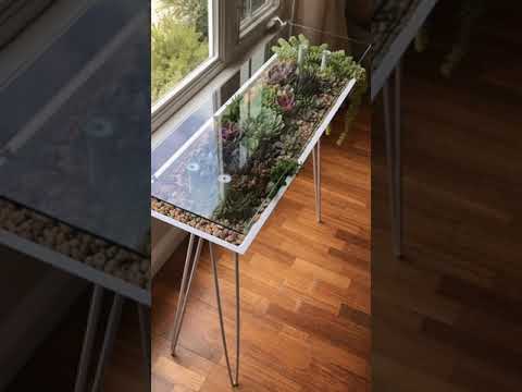 Video: DIY-sohvapöytäterraarioideoita: lasiterraariopöydän tekeminen