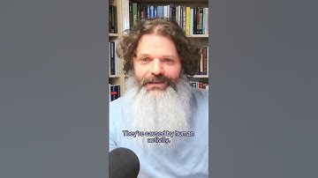 Daniel Schmachtenberger on how our society devalues problem solving that isn