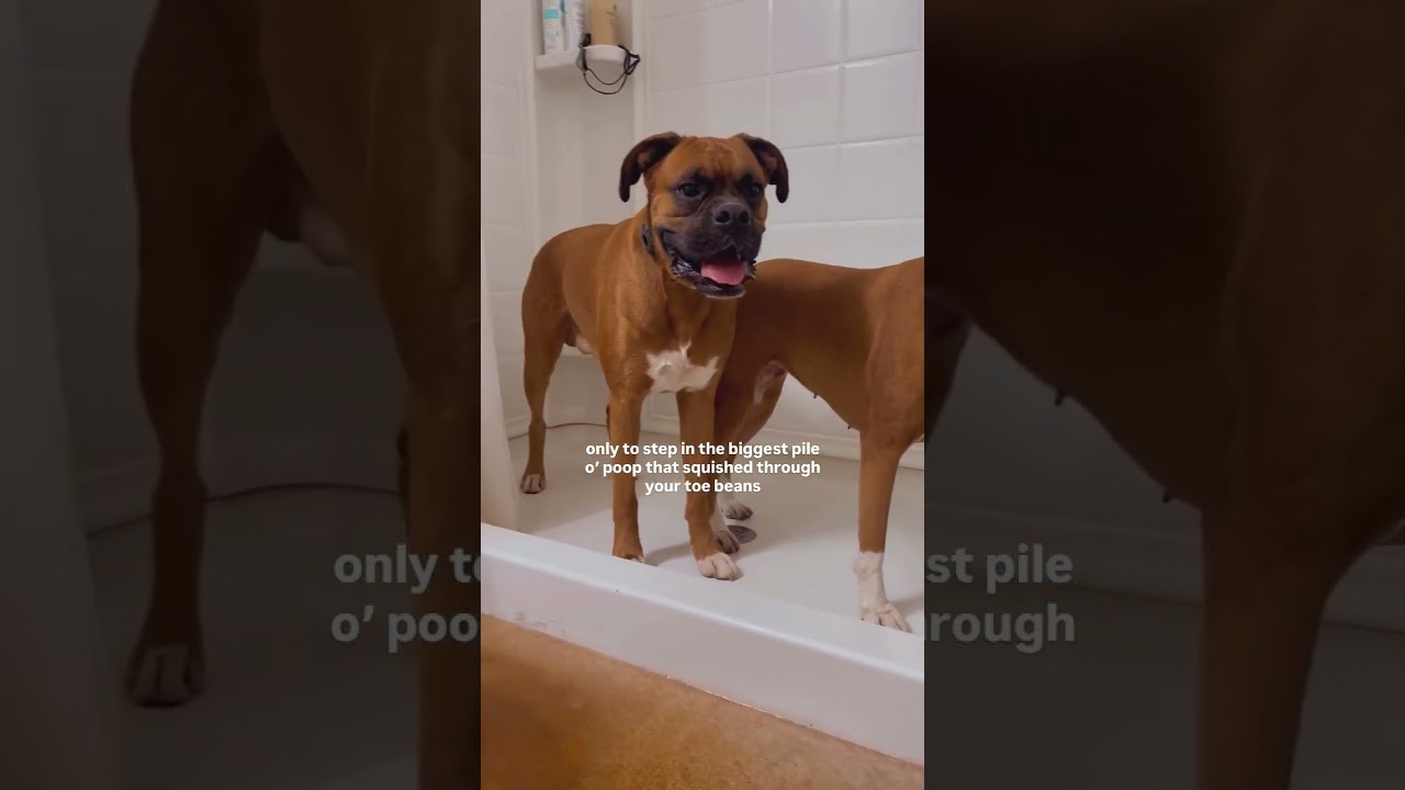 A full spaw day it is 🛁🫧 