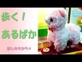 とことこ歩くアルパカさんをゲット（UFOキャッチャー） Claw Machine Play