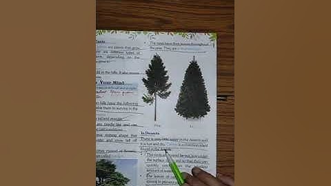 Class-4,Subject-Science Video-13,Chapter-5,Part-2 By Mrs Sunita Gupta