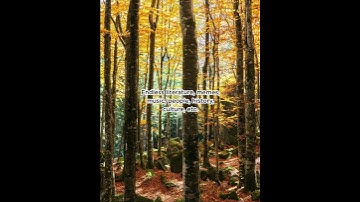 Why am I obsessed with language learning? Because every new word is a whole new world 🌍#Airlearn