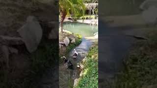 Aguas Calientes, San Xavier - Santa Cruz