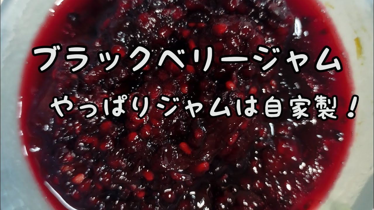Easy Jam] #249 Blackberry Jam: Delicious, Safe, and Addictive