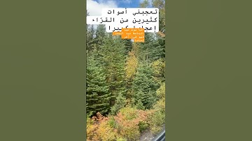 "سابقوا إلى مغفرة من ربّكم.."ما تيسّر من القرآن الكريم بصوت الشيخ عبد الباسط عبد الصمد