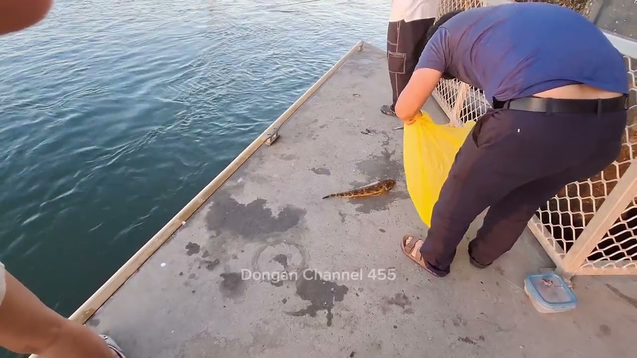 Mackay Fishing, Boat Ramp 21 August 2024