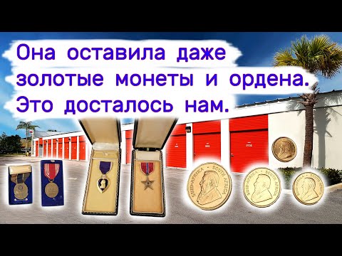 Видео: Нашли золотые монеты, ордена, фототехнику. Повезло.