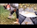 手掴みしたアジを川で捌いて天ぷらに/I grabbed a horse mackerel in the river #Shorts