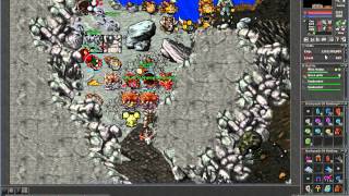 Tibia - Aurora Server - Killing Lvl 201 RP