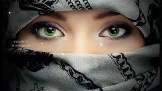 Download Lagu Moulaya salliwa sallim dayiman ringtone MP3