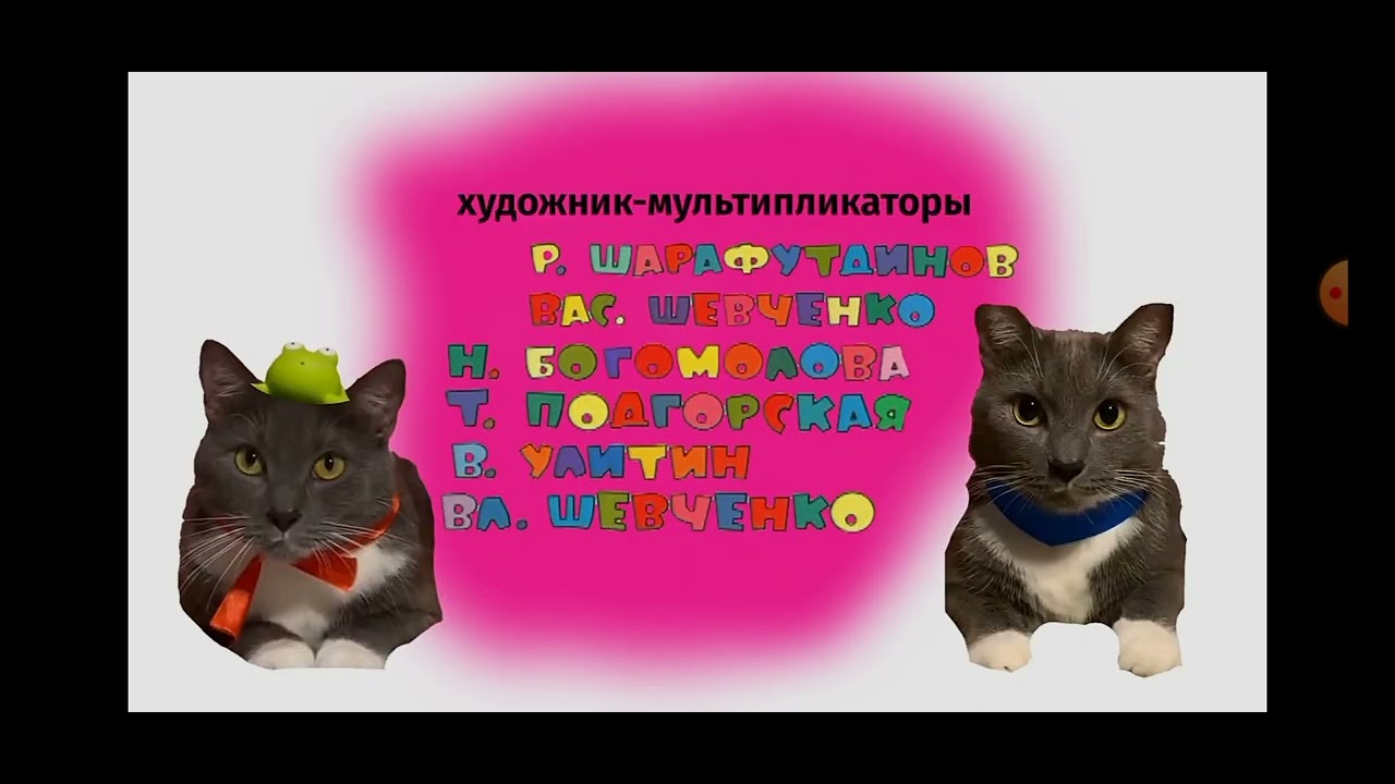 Канал котинет