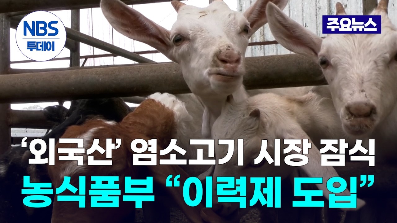 ‘외국산’ 염소고기 시장 잠식…농식품부 “이력제 도입”