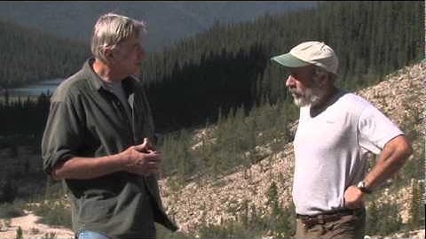 The Five Factors of Soil Formation