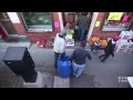 So Chicago: Those live fish in Chinatown restaurants? They didn't swim there.
