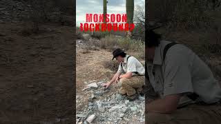 Is Rockhounding Better After Arizona Monsoon Rain?