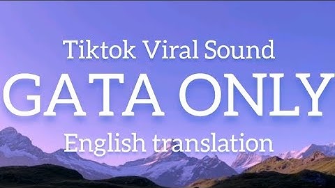 GATA ONLY(tiktok viral sound) - ENGLISH LYRICS | FloyyMenor ft. Cris MJ