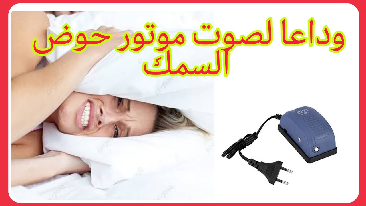 Прощай, звук мотора аквариума, часть вторая, 1,5 миллиона просмотров, если Бог позволит