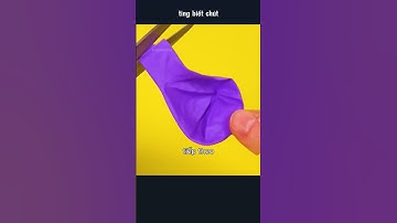 bốn con cá nóc thổi phồng