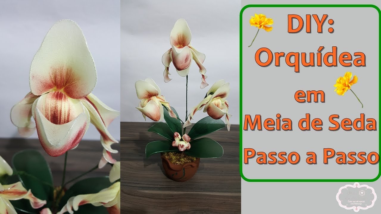 DIY: Como Fazer um LINDO Arranjo de Orquídea Phaphiopedilum Parishii em Meia  de Seda Passo a Passo - thptnganamst.edu.vn
