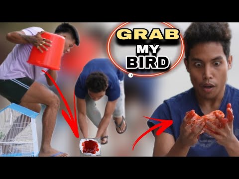 GRAB MY BIRD  \