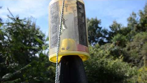 BMSB Trap in August, 2013