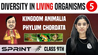 Diversity in Living Organisms 05 | Kingdom Animalia - Phylum Chordata | Class 9 | NCERT | Sprint