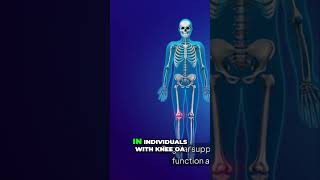Boost Joint Health: The Power of Collagen Peptides