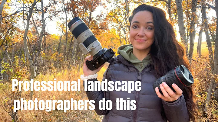 Professional landscape photographers do this and b...