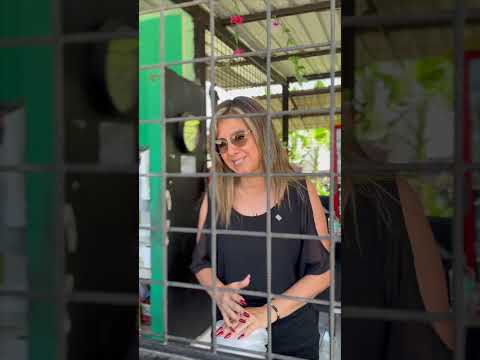 Engañé a mi jefa con los almuerzos y así perdí todo