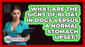 What Are The Signs Of Bloat In Dogs Versus A Normal Stomach Upset? - Ask A Pet Vet