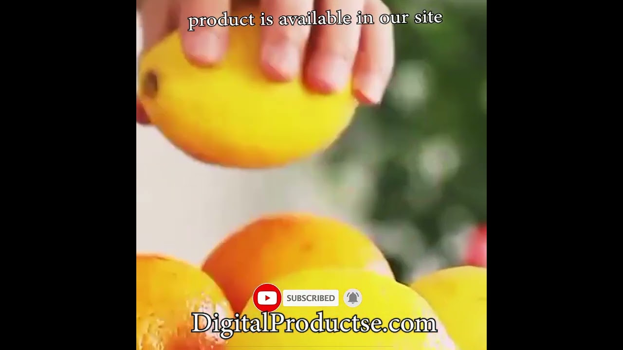 WATER DRINK BUCKET WITH LID AND FAUCET FOR REFRIGERATOR OR COLD BEVERAGE DISPENSER |DigitalProductse