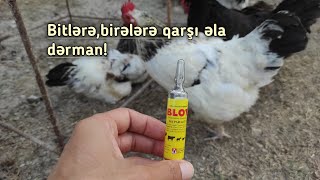 Birələrə Və Bitlərə Qarşı Super Dərman