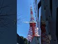 #tokyoairporttransfer #travel #tat #旅行