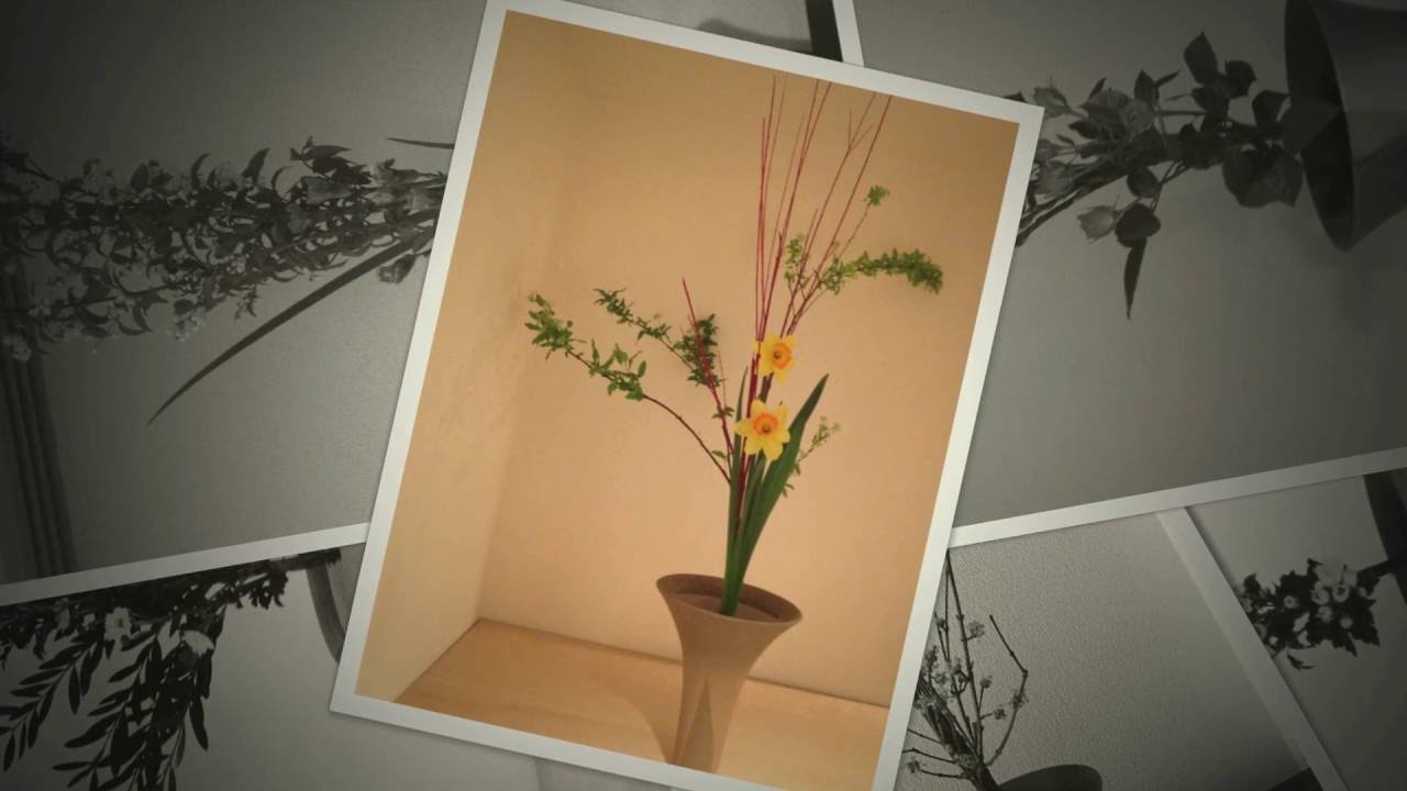 Ikebana  shoka  by Olga Z