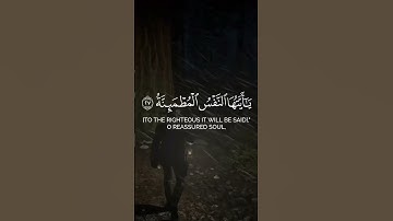 فارس عباد سورة الفجر ❤️‍🩹 #فارس_عباد #قرآن #قران_كريم #قرآن_كريم #لايك #اكسبلور #quran