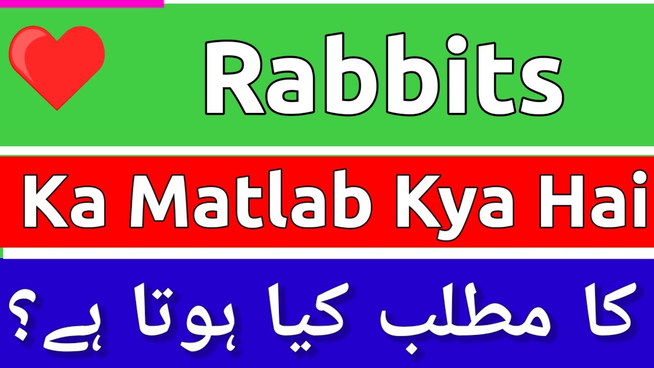 Rabbit Meaning In Urdu | Rabbit Meaning | Rabbit Ka Matlab Kya Hota Hai ...