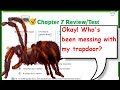 Math Video Quiz