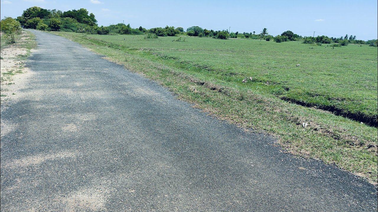 No: 55 (SOLD)Low Budget Agriculture Land 6 Acres For Sale Near Tindivanam | 9150007976