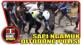HEBOOH !! VIDEO SAPI NG@MUK DIT*D*NG PAK POLISI