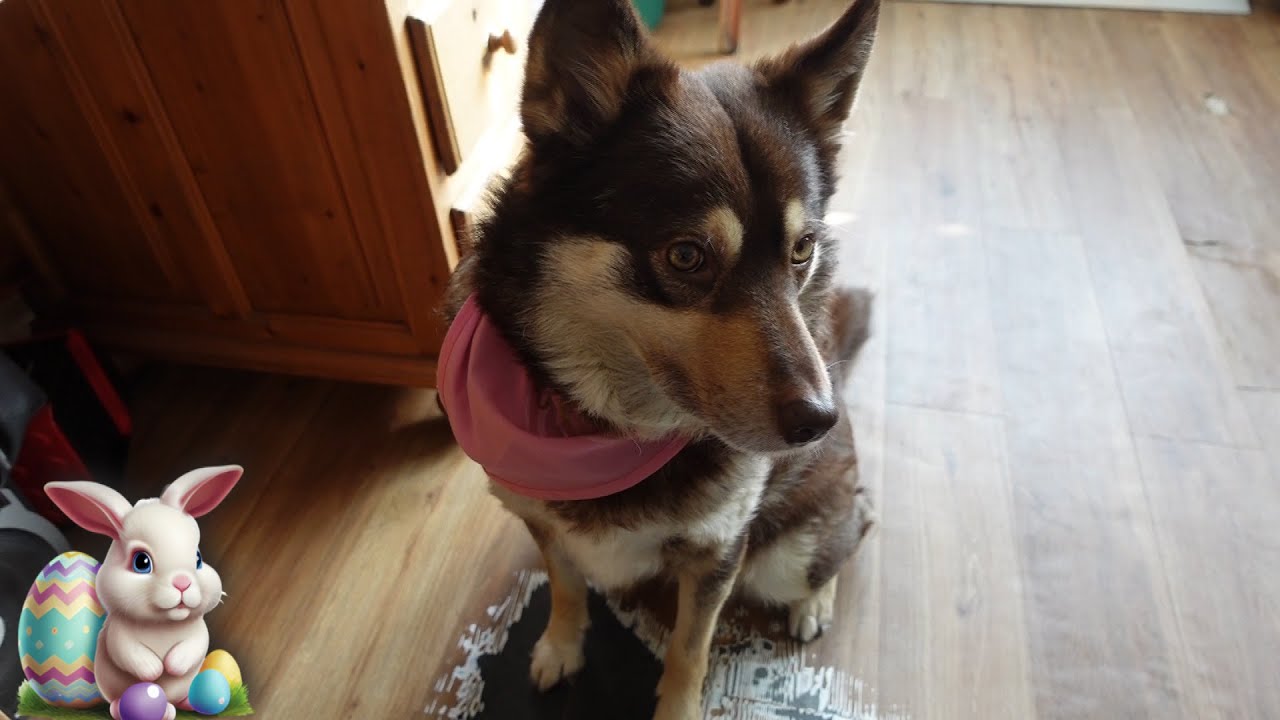 do 7 mrt | Willy in huis | Heel erg koud | Het weer woord gemaakt