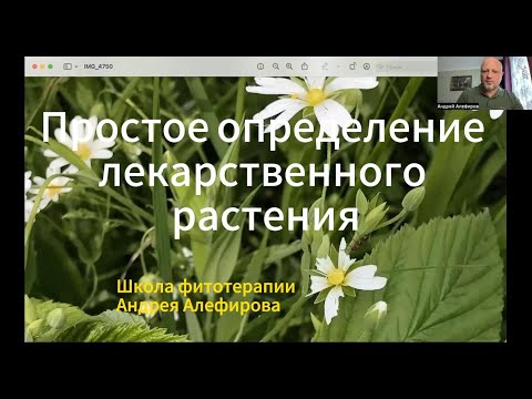 Видео: Почему важны лекарственные растения?