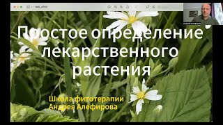 Простое определение лекарственного растения