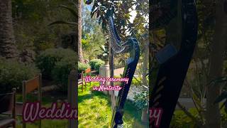 Wedding ceremony in beautiful Montecito, CA - playing a gorgeous electric harp 🪉✨ #harp #wedding